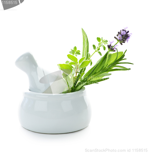 Image of Healing herbs in mortar and pestle