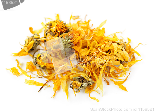 Image of Dried calendula herb flowers