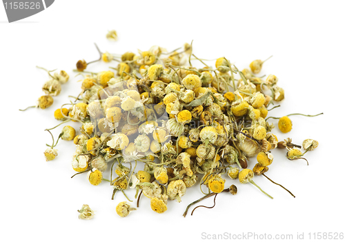 Image of Medicinal chamomile herbs