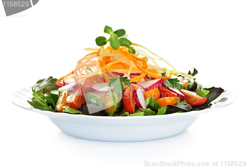 Image of Garden salad