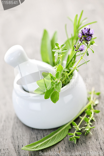 Image of Healing herbs in mortar and pestle