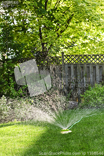 Image of Lawn sprinkler watering grass