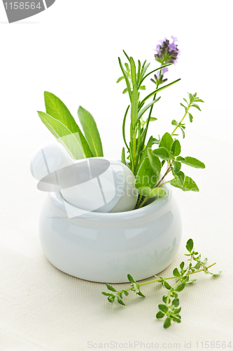 Image of Healing herbs in mortar and pestle