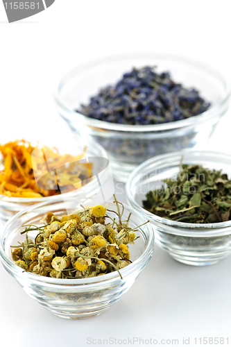 Image of Dried medicinal herbs