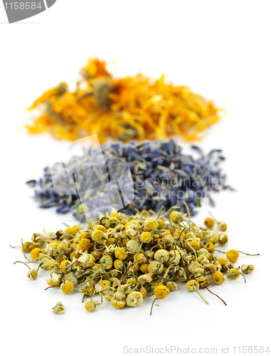 Image of Dried medicinal herbs