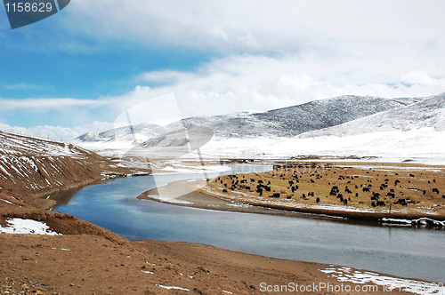 Image of Landscape in winter