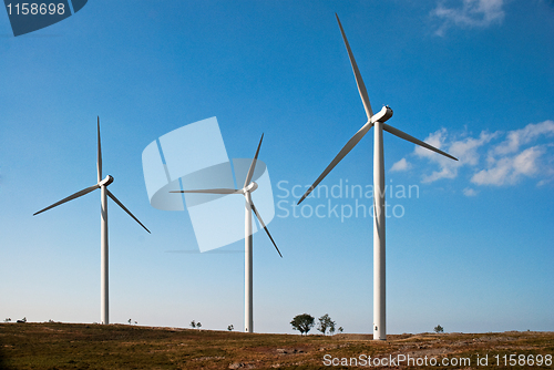 Image of Wind turbines