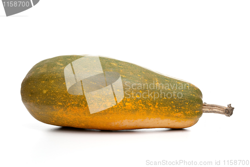 Image of Single fresh pumpkin