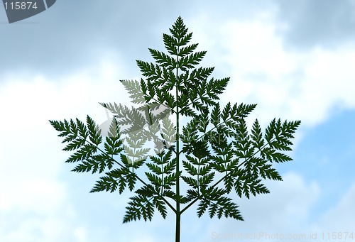 Image of Leaf on sky background