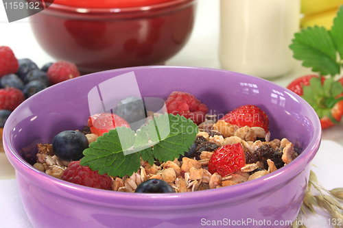 Image of Fruit Muesli