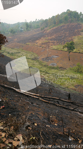 Image of Slash and burn agriculture in Thailand