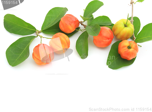 Image of Cherry; object on a white background