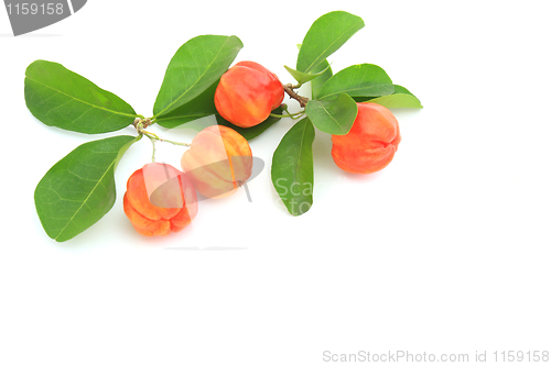 Image of Cherry; object on a white background