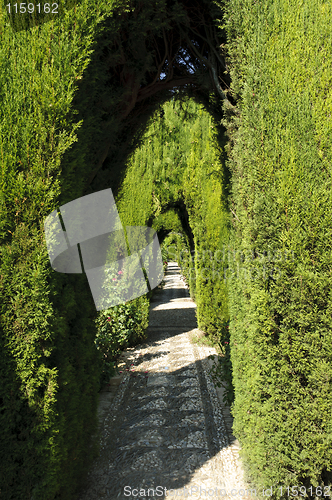 Image of Generalife gardens in Granada, Spain