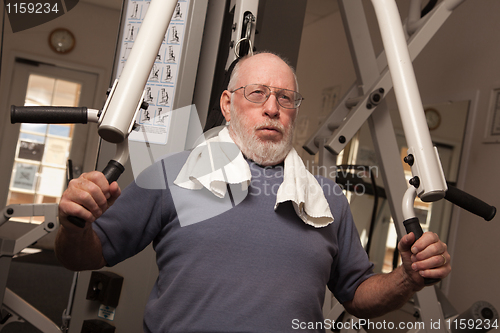 Image of Elderly Adult Man Working Out in the Gym.