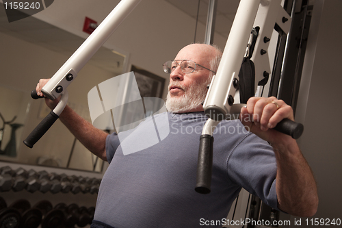 Image of Senior Adult Man Working Out in the Gym.