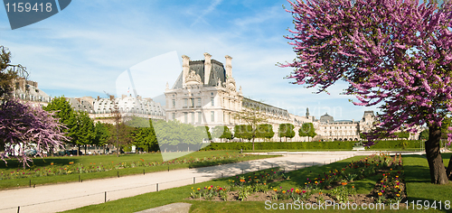 Image of Spring in Paris. France