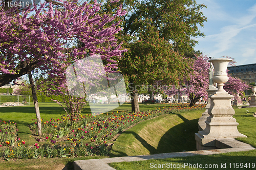 Image of Spring in Paris. France