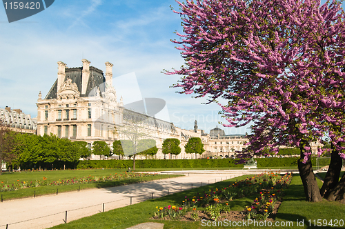 Image of Spring in Paris. France