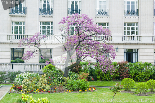 Image of Spring In Paris, Garden