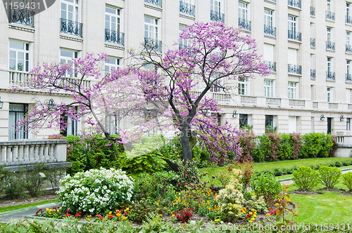 Image of Spring In Paris, Garden