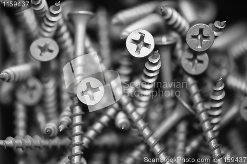 Image of Screws