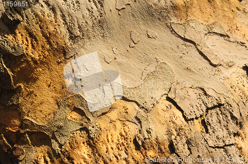 Image of Wooden texture background