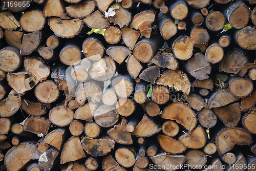 Image of Wooden texture background