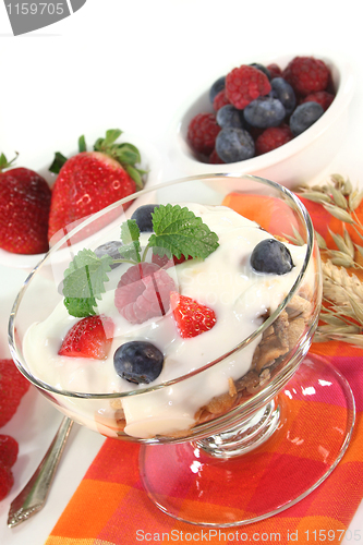 Image of Fruit Muesli