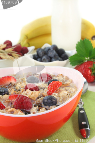 Image of Fruit Muesli