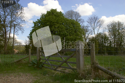 Image of 5 bar gate