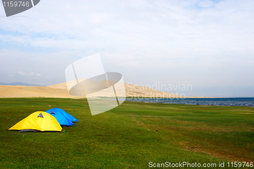 Image of Tent on the lawn