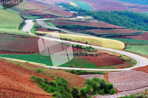 Image of China rural field landscape