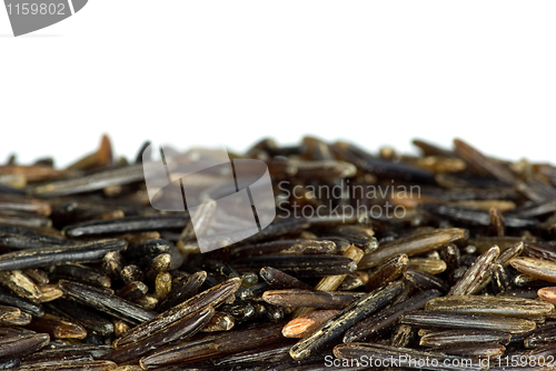 Image of Background of black wild rice