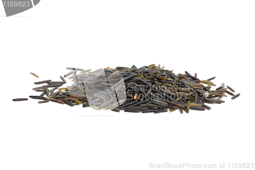 Image of Small pile of black wild rice