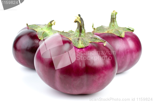 Image of Three eggplants