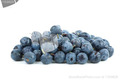 Image of Small pile of billberries