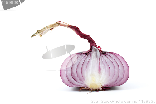 Image of Half of red onion