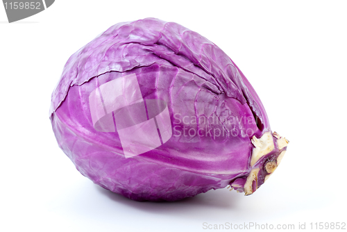 Image of Violet cabbage