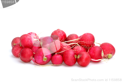 Image of Small pile of red ripe garden radish