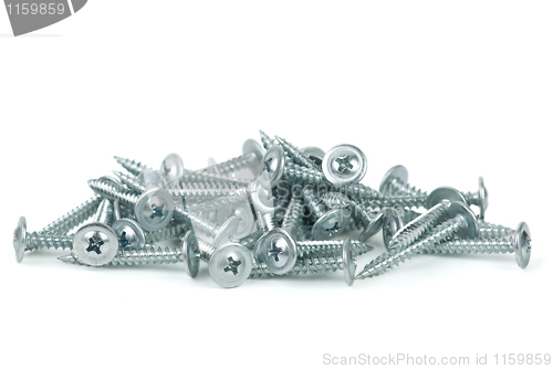 Image of Pile of galvanized screws