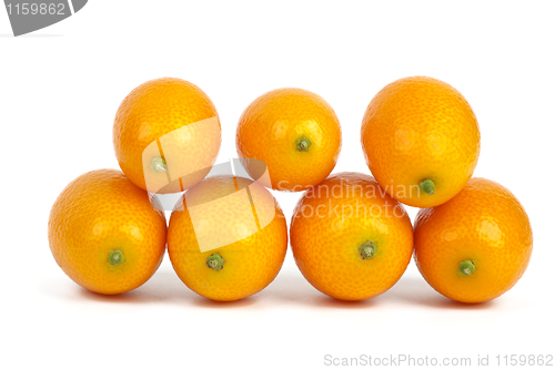 Image of Seven kumquat fruits