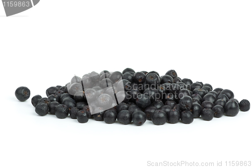 Image of Pile of chokeberries 