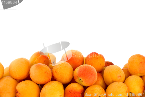 Image of Pile of apricots