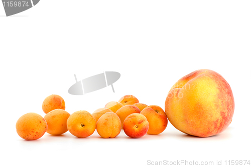 Image of One peach and few apricots