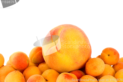 Image of One peach over the pile of apricots