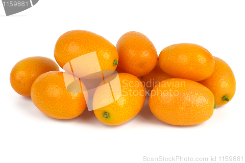 Image of Few kumquats