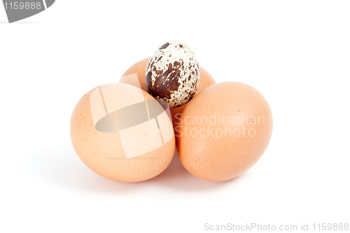 Image of Few hen eggs and one quail egg on top