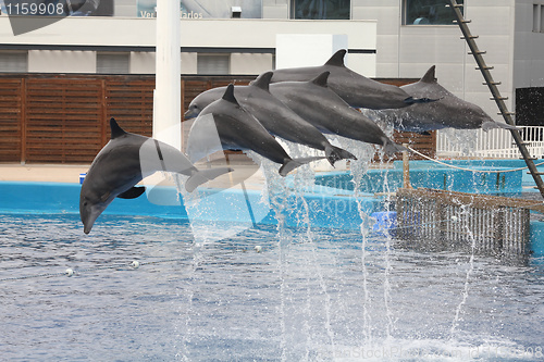 Image of Valencia aquarium