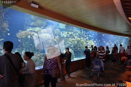 Image of Valencia aquarium